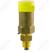 Предохранительный клапан ATSV 5000 AG 1 1/4 NPT Предохранительный клапан ATSV 5000 AG 1 1/4 NPT
